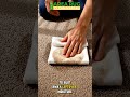 Mocha Stain on Your Rug? FIXED in Seconds😳