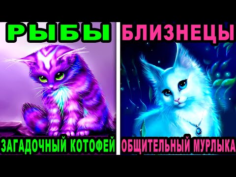 Какая ты кошка по знаку Зодиака? ТЕСТ: Узнай какой ты котик?