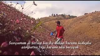 Story wa pesona pagi hari di gunung prau