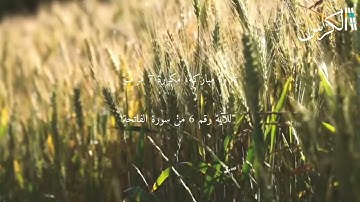 الآية رقم 6 من سورة الفاتحة | مكررة 7 مرات