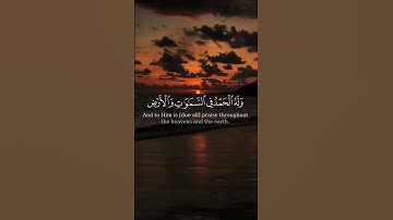 تلاوة عطرة من سورة الروم بصوت القارئ عبد الرحمن مسعود #quran #قرآن #تلاوة_خاشعة #اذكروا_الله_يذكركم