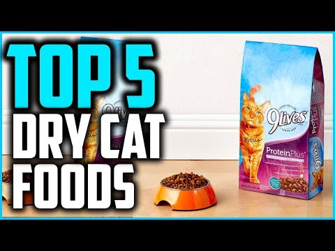 וִידֵאוֹ: חתולים וחלבונים: האם מזון לחתולים עתיר חלבונים הוא הטוב ביותר?