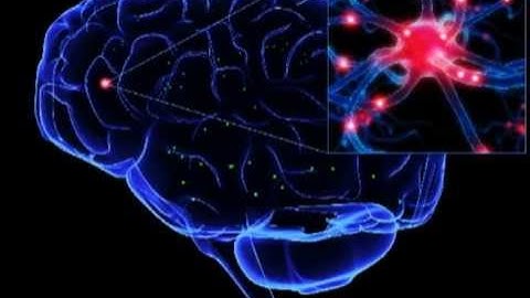 Introduction of neurobiology