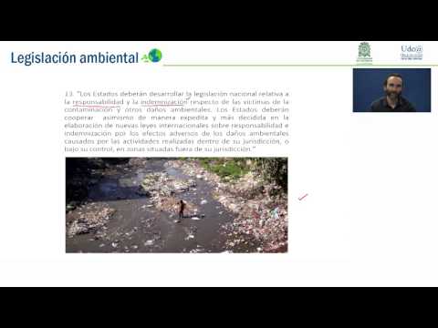 Derecho Internacional Ambiental / Parte 3