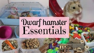 Dwarf Hamster Essentials