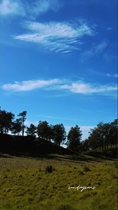 sepi di gunung itu enak #shorts #video #gunung