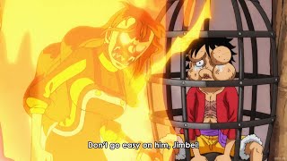 Nami beats luffy and keeps him in a bird cage