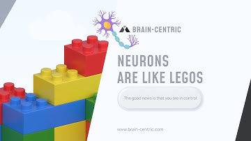 Neurons Are Like Legos