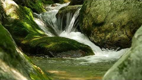 ارح سمعك وقلبك ...سورة طه بصوت القارئ ياسر الدوسري