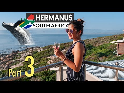 Encountering Giants: Whale Watching in Hermanus, South Africa | A Spectacular Coastal Adventure!