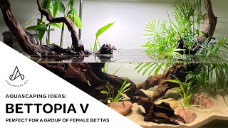 Aquascape Ideas: Shallow tropical pondstyle riparium bettafish tank 'Bettopia V'