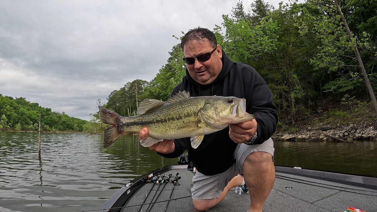 Table Rock Lake Bass Fishing Report May 11, 2025 Spinner Bait
