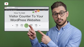 Why You NEED a Visitor Counter for Your WordPress Site