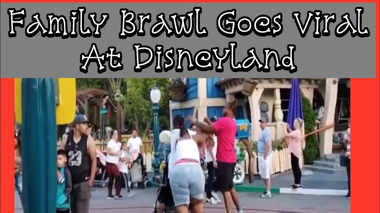 Wild Fight at Disneyland’s Mickey’s Toon Town: Are You Serious?! (Reaction)