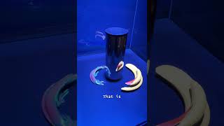 Video thumb