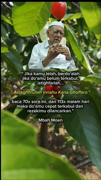 Astaghfirullah innahu kana ghoffaro #reminder #istighfar #feedshorts #doa #dzikir #mbahmoen