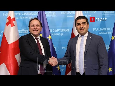 ოლივერ ვარჰეის გზავნილები - ევროკომისარი პარლამენტში