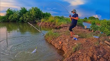 Tập 170: về bình đại bến Tre lure cá chẽm