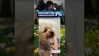 twitch.tv/neonpsh - розыгрыши и турниры каждый месяц!