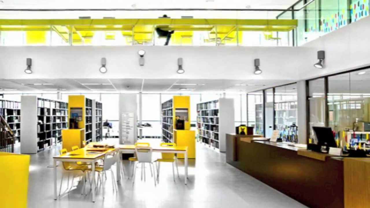 what is academic library pdf