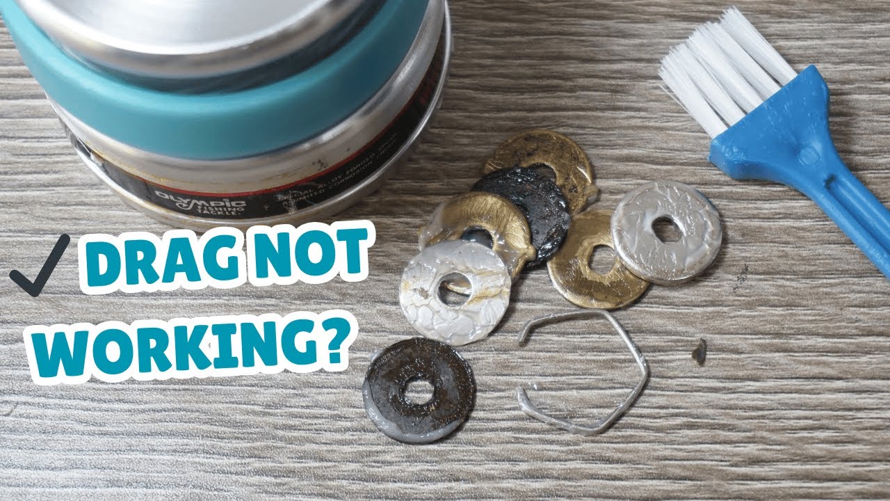 Fishing reel drag system repair guide Fishing reel drag system repair guide