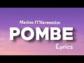 Marioo Ft Harmonize Pombe Official Lyrics Video 