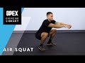 Air squat  opex exercise library