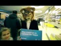 Animal Ads Day. Показ найкращої соціальної реклами про тварин в Києві