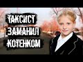 Заманил девочку котенком. Дело Насти Луцишиной