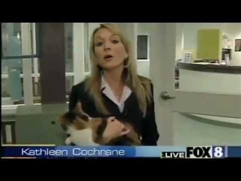 Animals Attack Reporters On Live TV (EXPLICIT LANGUAGE)