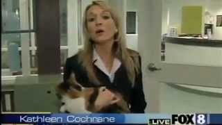 Animals Attack Reporters On Live TV (EXPLICIT LANGUAGE)