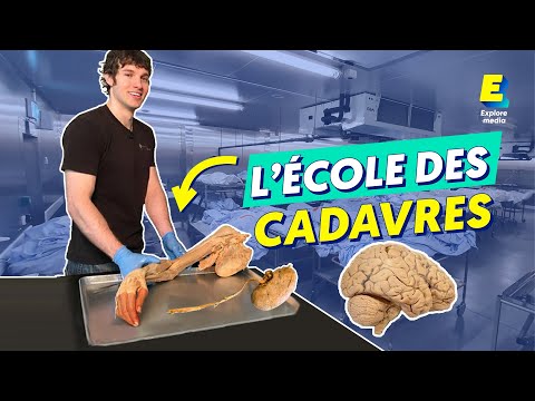 Ils font des vidéos avec des CADAVRES pour enseigner l'anatomie