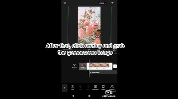 How to use green screen on Capcut! Tutorial: It