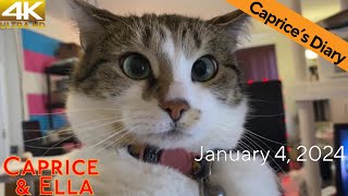 Caprices Diary (January 4, 2024) by Caprice & Ella 25 views 3 months ago 1 minute, 44 seconds