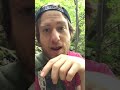 Wild Kingdom- The Health Benefits & Habitat of Chaga Mushroom