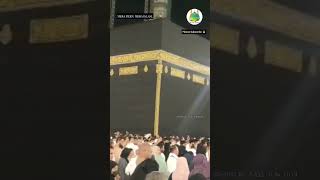Labbaik Allahumma Labbaik #labbaik #kaaba #makkah #islamicstatus #youtubeshorts screenshot 5