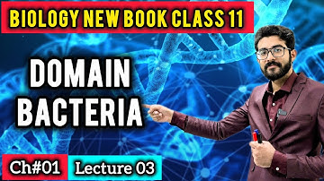 Domain Bacteria Class 11 | Three Domain Classification | New Book Biology Chapter 1 | ilm e BIOLOGY