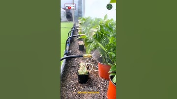 Simple and Best Garden Irrigation System #gardening