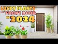 10 lucky plants for front door in 2024  swerteng halaman sa pintuan para sa pera at success sa 2024