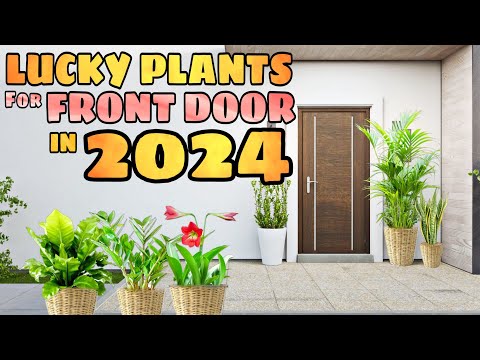 10 LUCKY PLANTS FOR FRONT DOOR IN 2024 | Swerteng Halaman Sa Pintuan Para Sa Pera At Success Sa 2024