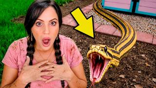 🐍 Una SERPIENTE GIGANTE en la Finquita Bonita 😱 Sandra Cires Vlog