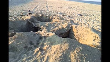 Color Bomb in Sand Holes! (Prequel to Human Gopher Vid!)