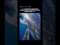 🐋💙 The World’s Largest Animal Feeding Its Baby Is One Of Nature’s Most Beautiful Sights 🌊✨