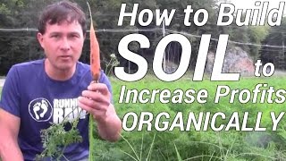 How to Best Build Soil to Increase Profit When Organic Farming