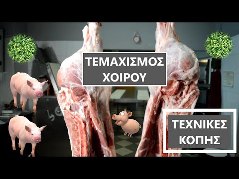 Βίντεο: 4 τρόποι μαγειρέματος γατόψαρο