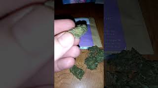 🌻Flowerz Hemp Flower Review🌻