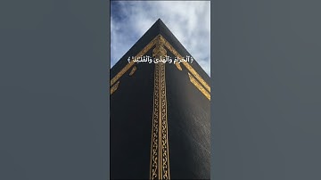 #تلاوات #راحة_نفسية #القرآن_الكريم #صلوا_على_النبي #استغفر_الله #سبحان_الله #الحمدلله #رمضان