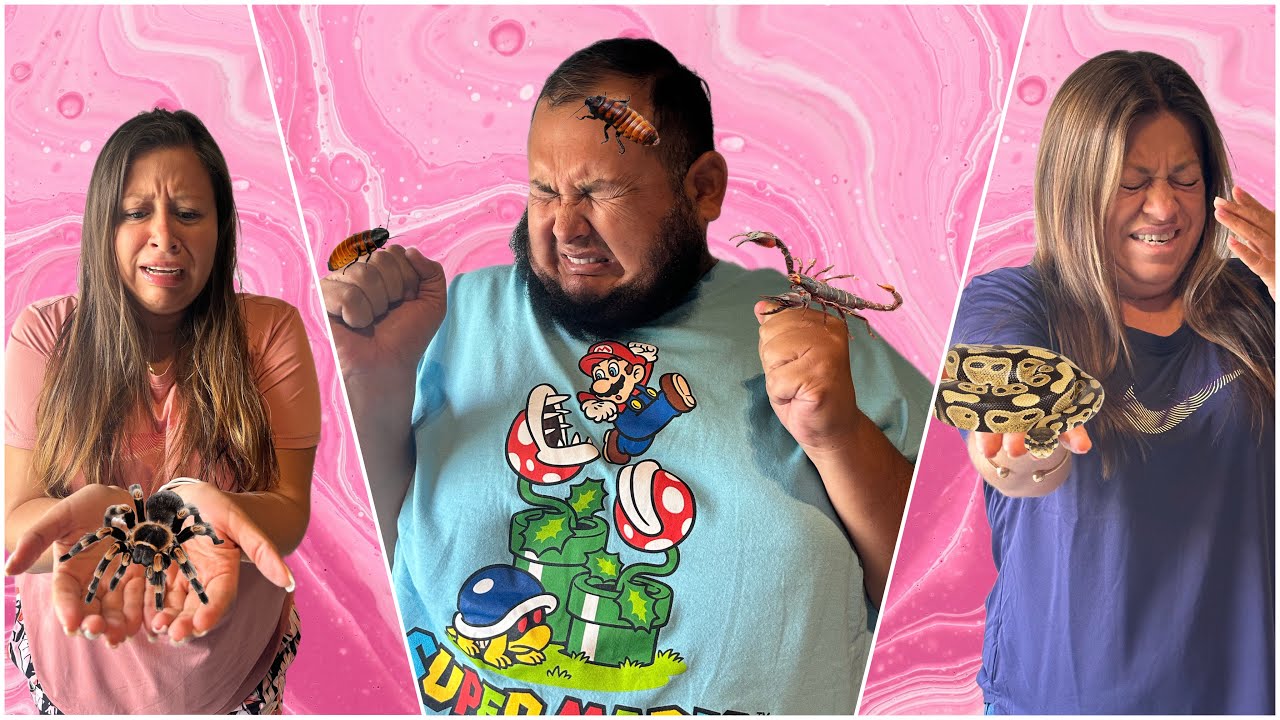 RETOS ESCALOFRIANTES CON ANIMALES EXÓTICOS 🐍🪳🦂🕷️@Gordo Soyacity