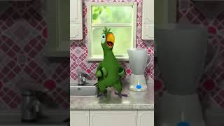 Старое Видео С 2018 Года Попугай Сошёл С Ума