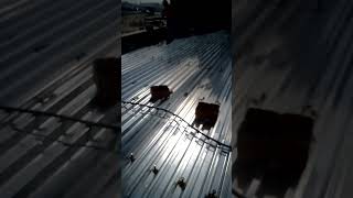 watch how you weld the struts bolts in corregated sheet in DECKING slab